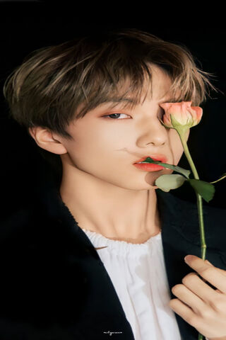 Park Jisung: A Blooming Star 🌹✨
