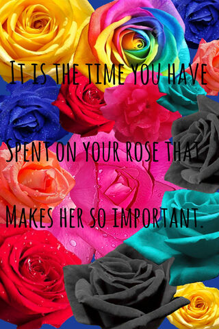 The Beauty of Time: A Rose's Worth 🌹⏳