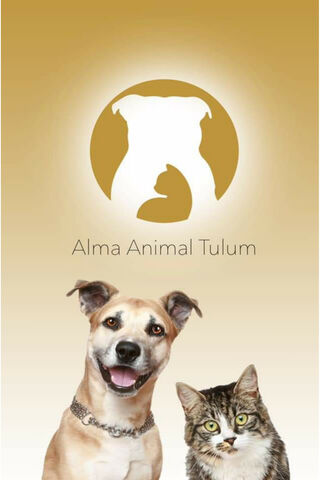 Heartfelt Companions: Alma Animal Tulum 🐾❤️