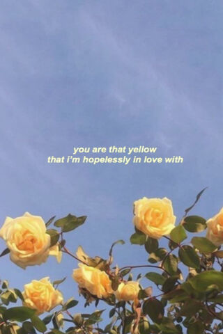 Sunshine in Bloom 🌼✨