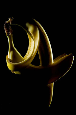 The Art of the Banana 🍌✨
