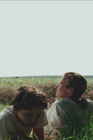 Whispers of Summer Love