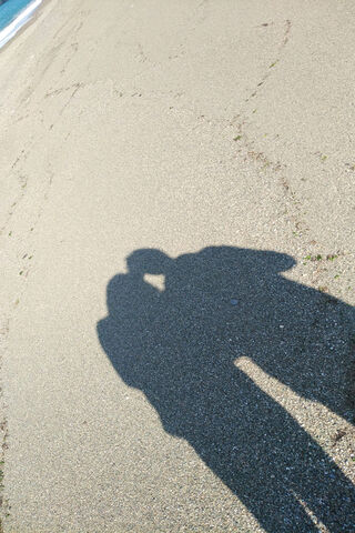 Shadows of Love 🌅❤️