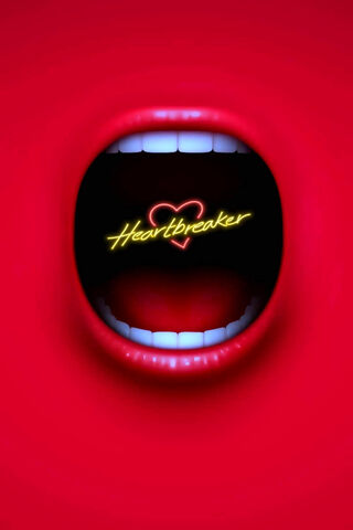 Love's Bold Echo 💔