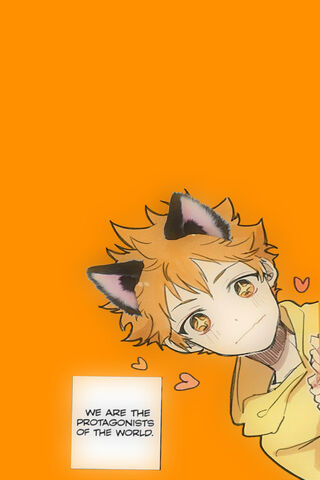 Hinata Shoyo Haikyu