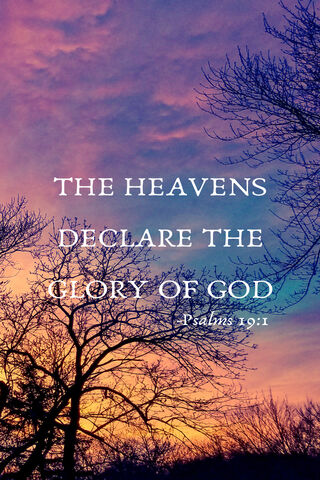 Celestial Symphony: A D..