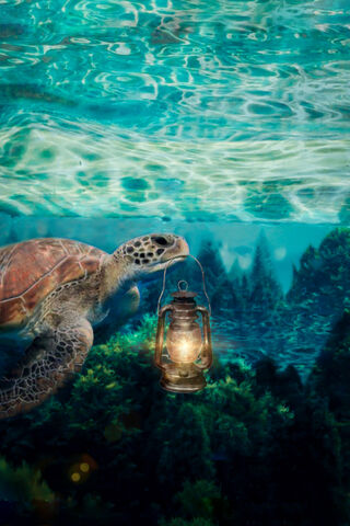 Guiding Light Beneath the Waves 🌊🐢