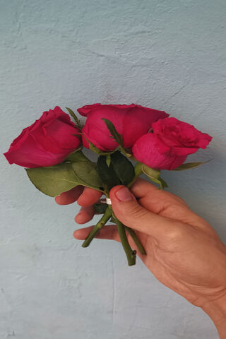 A Gesture of Love 🌹❤️