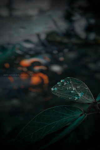 Enchanted Nature's Tears 🌿✨