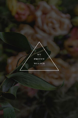 Whispers of Hope 🌸✨