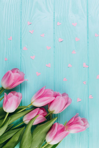 Pink Tulips