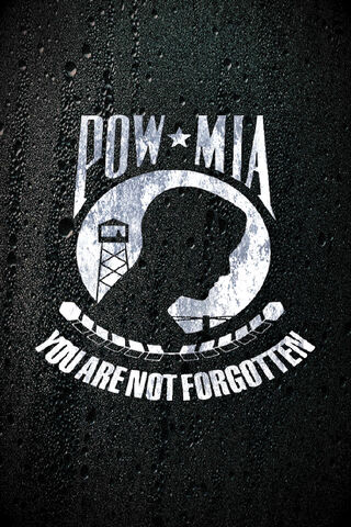 Honoring the Brave: POW-MIA Remembrance