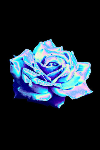Ethereal Bloom: The Enc..