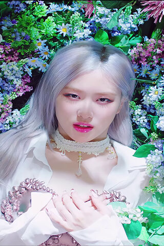 Blooming Elegance: A How You Like That Moment 🌹✨