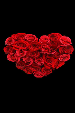 Love in Bloom: The Rose Heart 🌹❤️