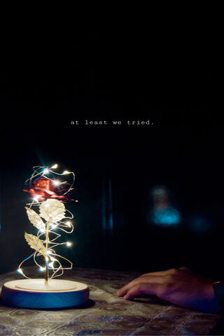 Whispers of Hope: A Rose's Glow 🌹✨