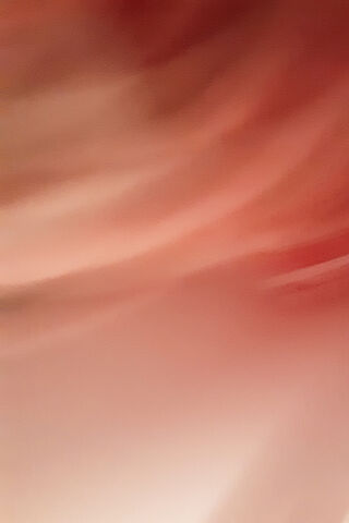 Rose Pink Swirl