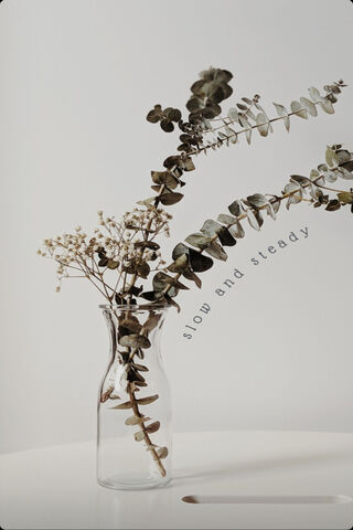 Nature's Calm Embrace 🌿✨