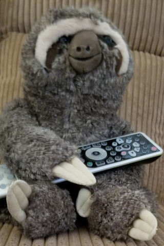 Chill Vibes with Sloth Assistant 🦥📺