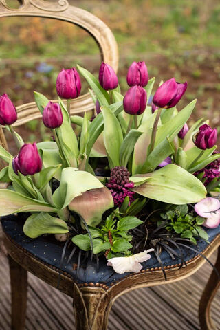 Blooming Elegance: The Tulip Fewer Chair 🌷✨
