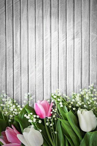 Spring's Colorful Embrace 🌷✨