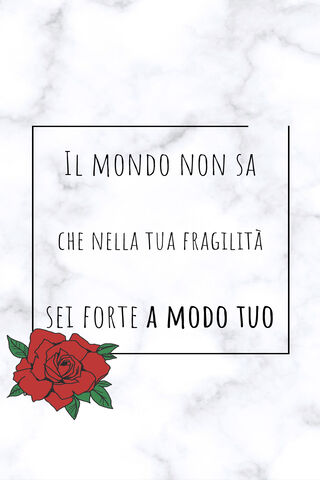 Strength in Fragility 🌹✨