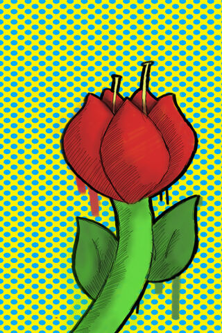 Tulip