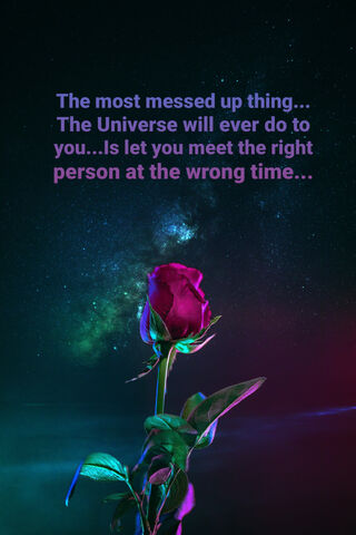 Love's Timing: A Cosmic Twist 🌌🌹