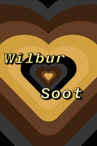 Heartfelt Vibes of Wilbur Soot 💖