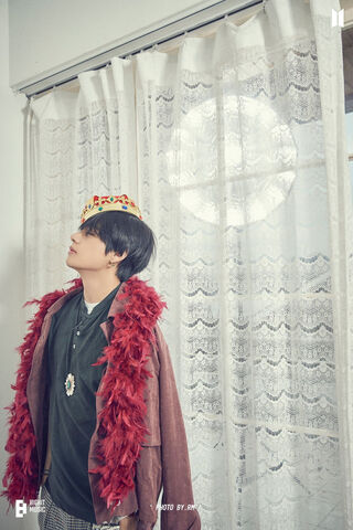 Crowned in Elegance: Th..