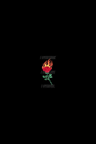 Rose terbakar