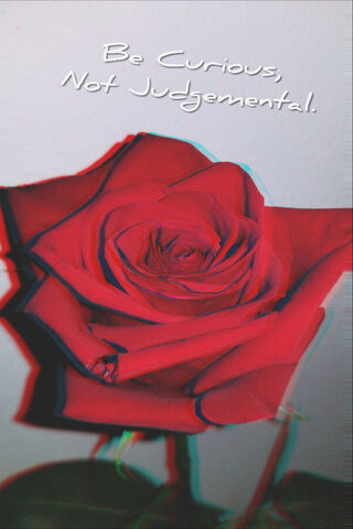 The Curious Bloom 🌹✨