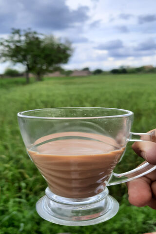 Sip of Serenity: Chai in Nature 🍵🌿