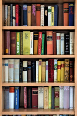 A Treasure Trove of Knowledge 📚✨