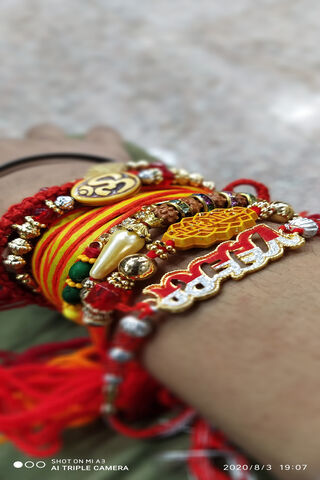 Celebrating the Bond: The Essence of Rakhi 🎉