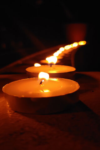 Flickering Memories: The Withered Rose