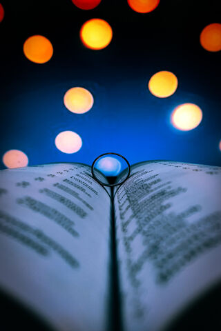 Bokeh Bliss: A Literary Dream