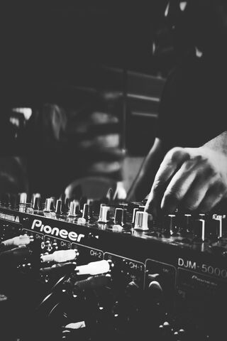 The Beat of the Night 🎶