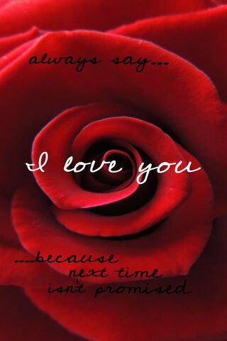 Whispers of Love 🌹