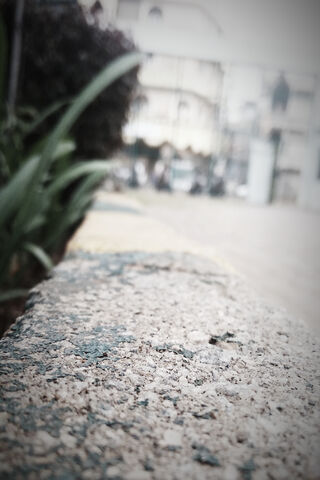 Urban Nature: A Hidden Gem 🌿🏙️