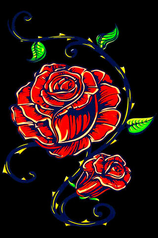 Rose 4K Amoled