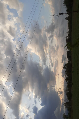 Whispers of the Evening Sky 🌅