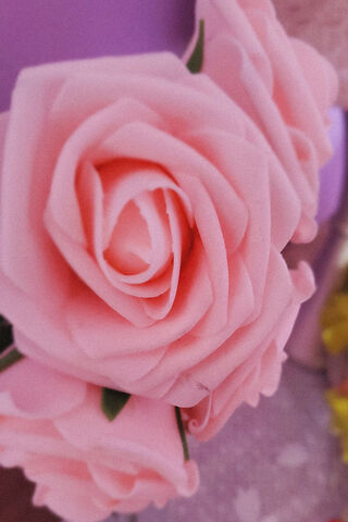 Blush of Elegance: The Rose Polaroid