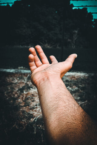 Outstretched Hope 🌱