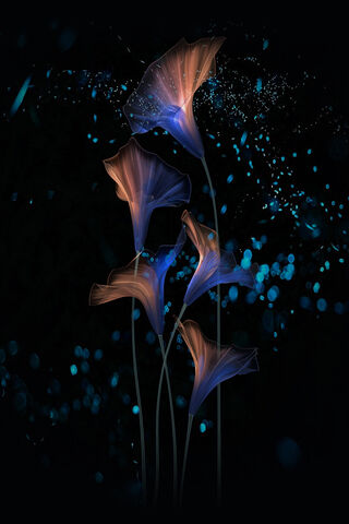 Whispers of the Night: ..