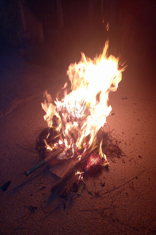 Celebrating Bhogi: The Festival of Fire and Renewal 🔥✨