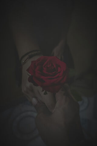 A Moment of Connection 🌹❤️