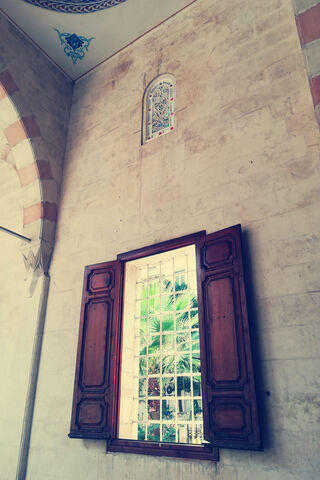 A Window to Diversity 🌈