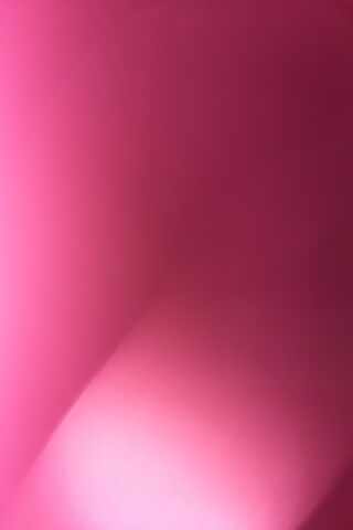 Blush of Pink Rosë 🌸✨