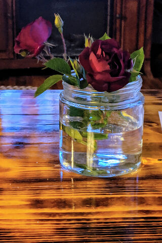 Rustic Elegance: A Rose in Bloom 🌹✨